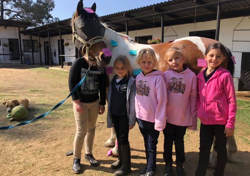 Newsletter: November 2018