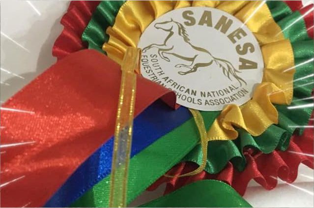 Newsletter: March 2019