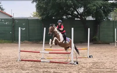 Training Show 1 2026