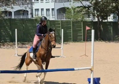 Chartwell Spring Training Show 2026