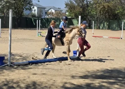 Chartwell Spring Training Show 2026